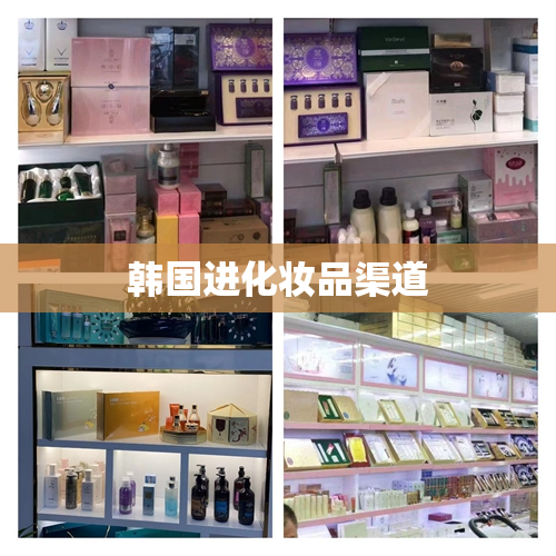 韩国进化妆品渠道