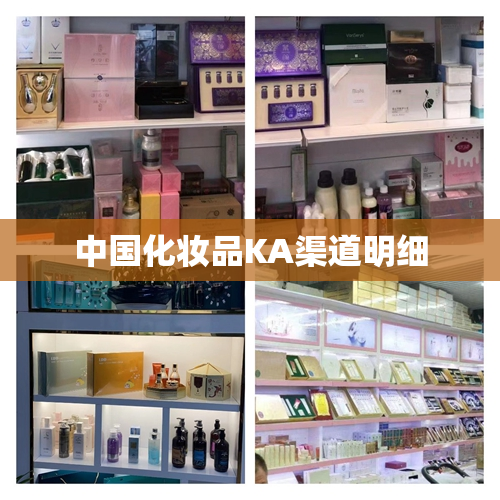 中国化妆品KA渠道明细