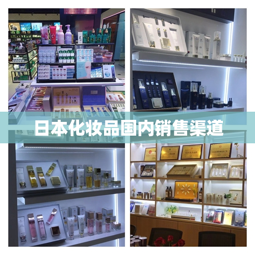 日本化妆品国内销售渠道