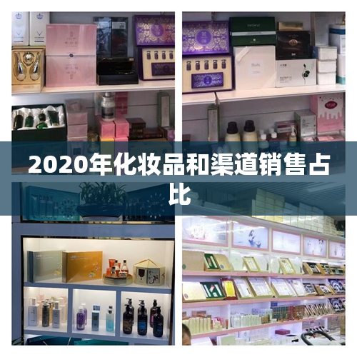 2020年化妆品和渠道销售占比