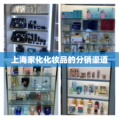 上海家化化妆品的分销渠道