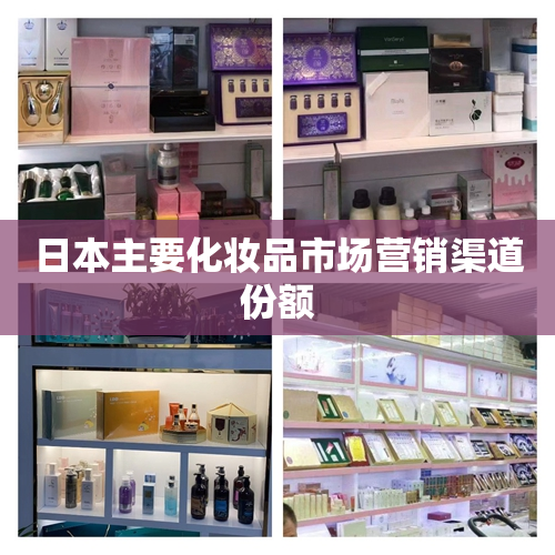 日本主要化妆品市场营销渠道份额