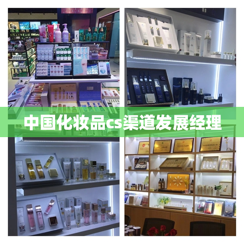 中国化妆品cs渠道发展经理