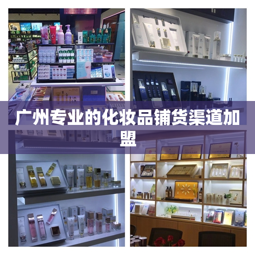 广州专业的化妆品铺货渠道加盟