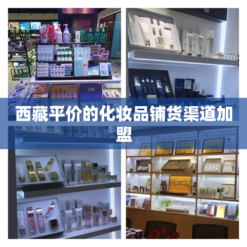 西藏平价的化妆品铺货渠道加盟